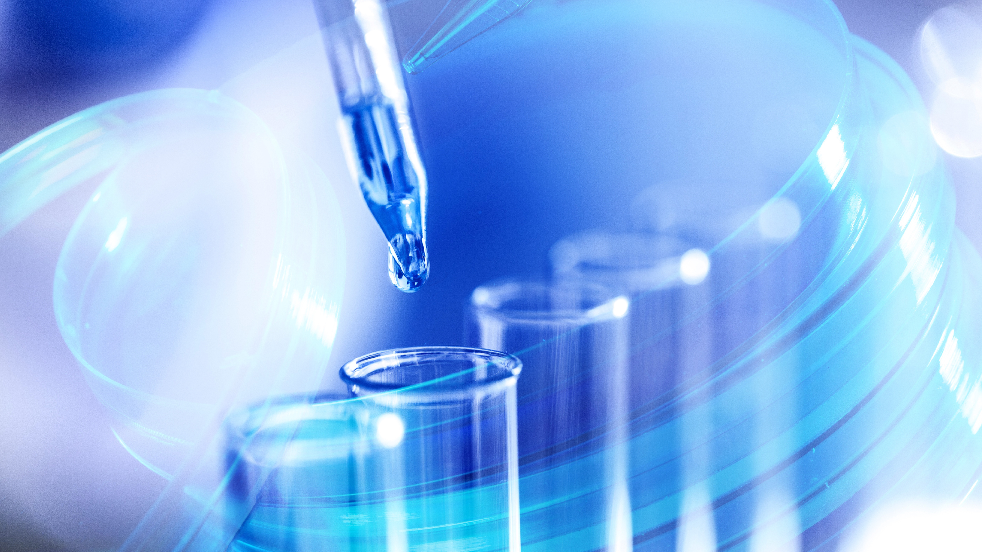 更多项目孵化中